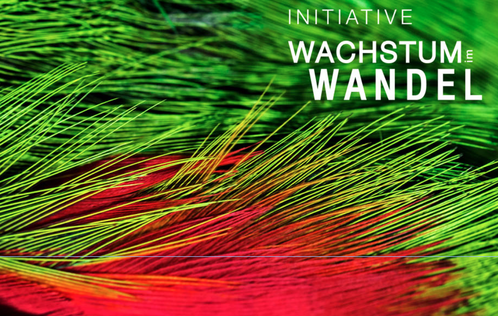 You are currently viewing Wachstum im Wandel!