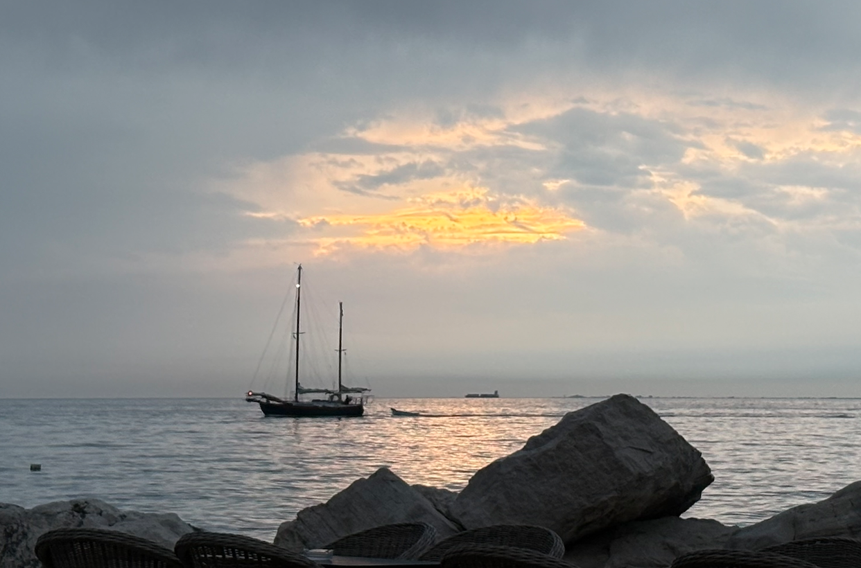 Read more about the article Segelt uns die Nachhaltigkeit davon?